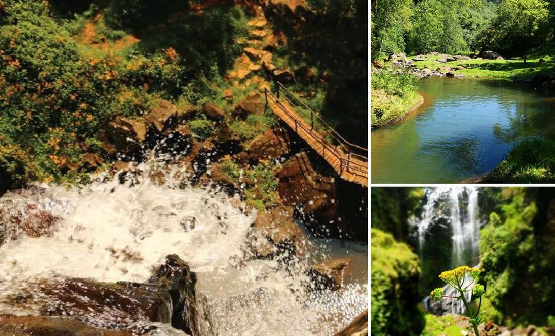 En Puebla hay un paraíso de cascadas, perfecto para disfrutar el verano | Foto: Cascadas paraiso