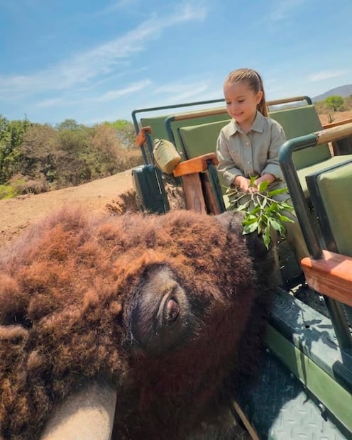 Foto: Africam Safari