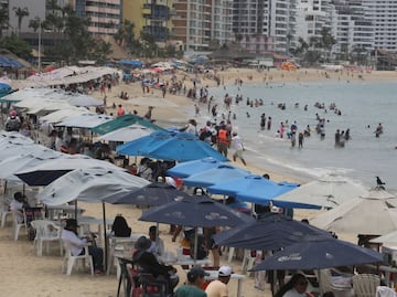 Vacaciones de verano: ¿Las playas cercanas a Puebla tienen sargazo?