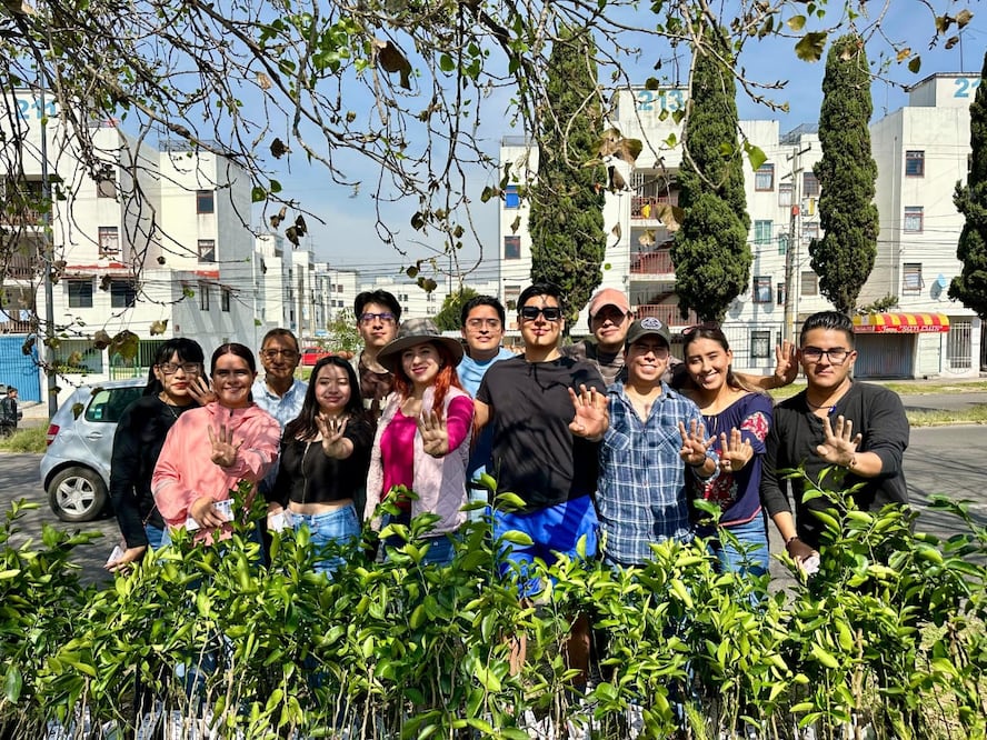 Jóvenes participan en este programa de reforestación | Foto: Especial