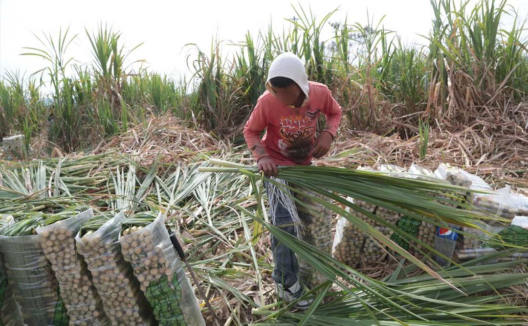 Foto: Agencia Es Imagen para El Universal Puebla