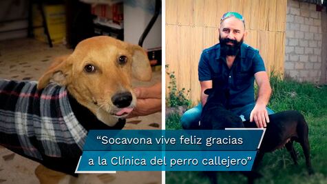 Clínica del Perro Callejero le dio una nueva oportunidad a Socavona