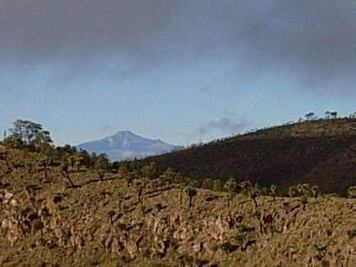 ¿El Yellowstone mexicano se encuentra en Puebla? Esto es lo que sabemos