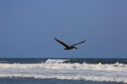 ¿Puedo ir a la playa desde CAPU Sur?