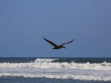 ¿Puedo ir a la playa desde CAPU Sur?
