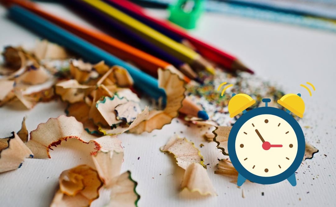 Las ha planteado el nuevo titular de la SEP / Foto: Pixabay