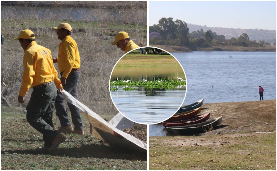 Avanza saneamiento del rio Atoyac y la Presa de Valsequillo