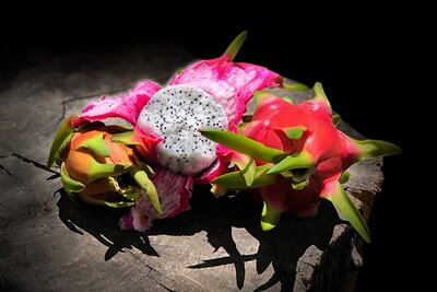 Premian a emprendedores BUAP por impulsar la pitahaya mexicana