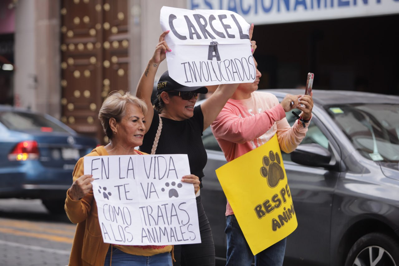 Foto: Agencia Es Imagen para El Universal Puebla