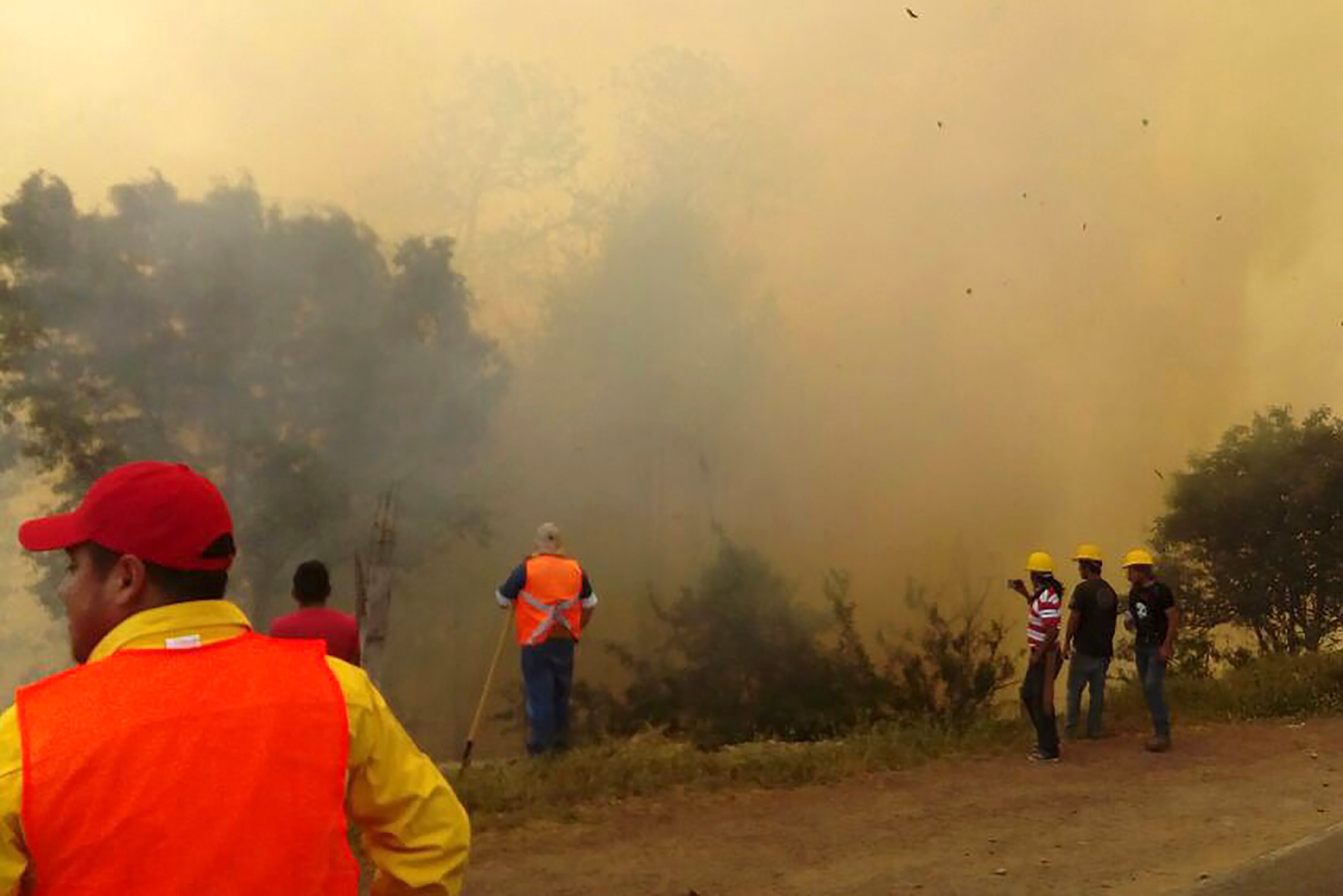 Intentan sofocar incendio forestal en San Bartolomé Chimalhuacán