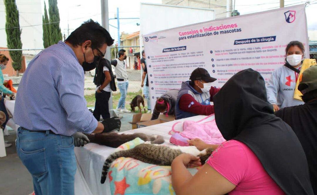 Fotos: Ayuntamiento de Puebla