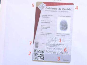 Licencia digital en Puebla. Así la puedes obtener