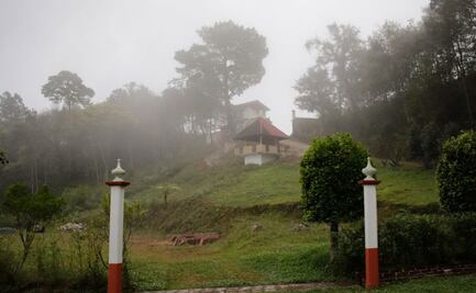 Atrapan a murciélago con rabia en la Sierra Norte de Puebla
