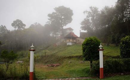 Atrapan a murciélago con rabia en la Sierra Norte de Puebla