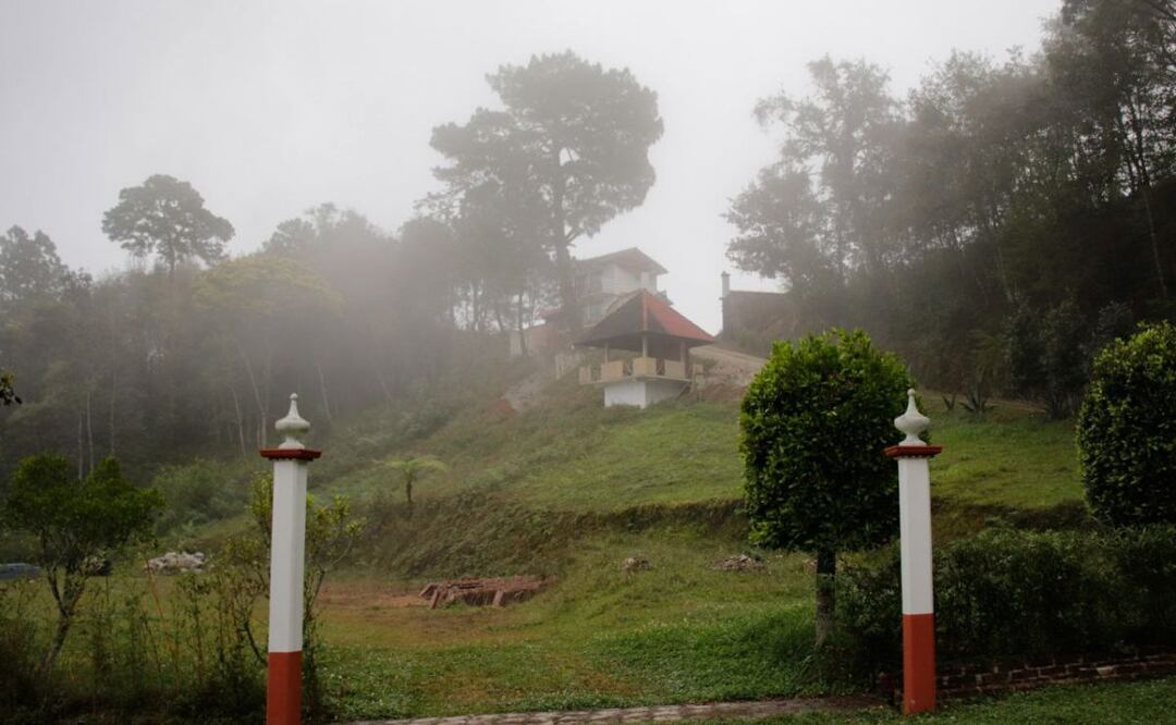 La Secretaría de Salud estableció un cerco sanitario por rabia en un murciélago. | Foto: Agencia Es Imagen para El Universal Puebla