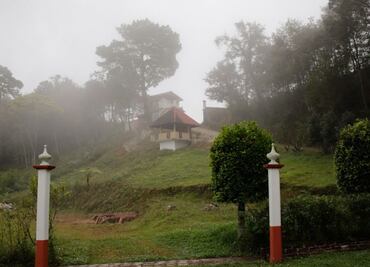 Atrapan a murciélago con rabia en la Sierra Norte de Puebla