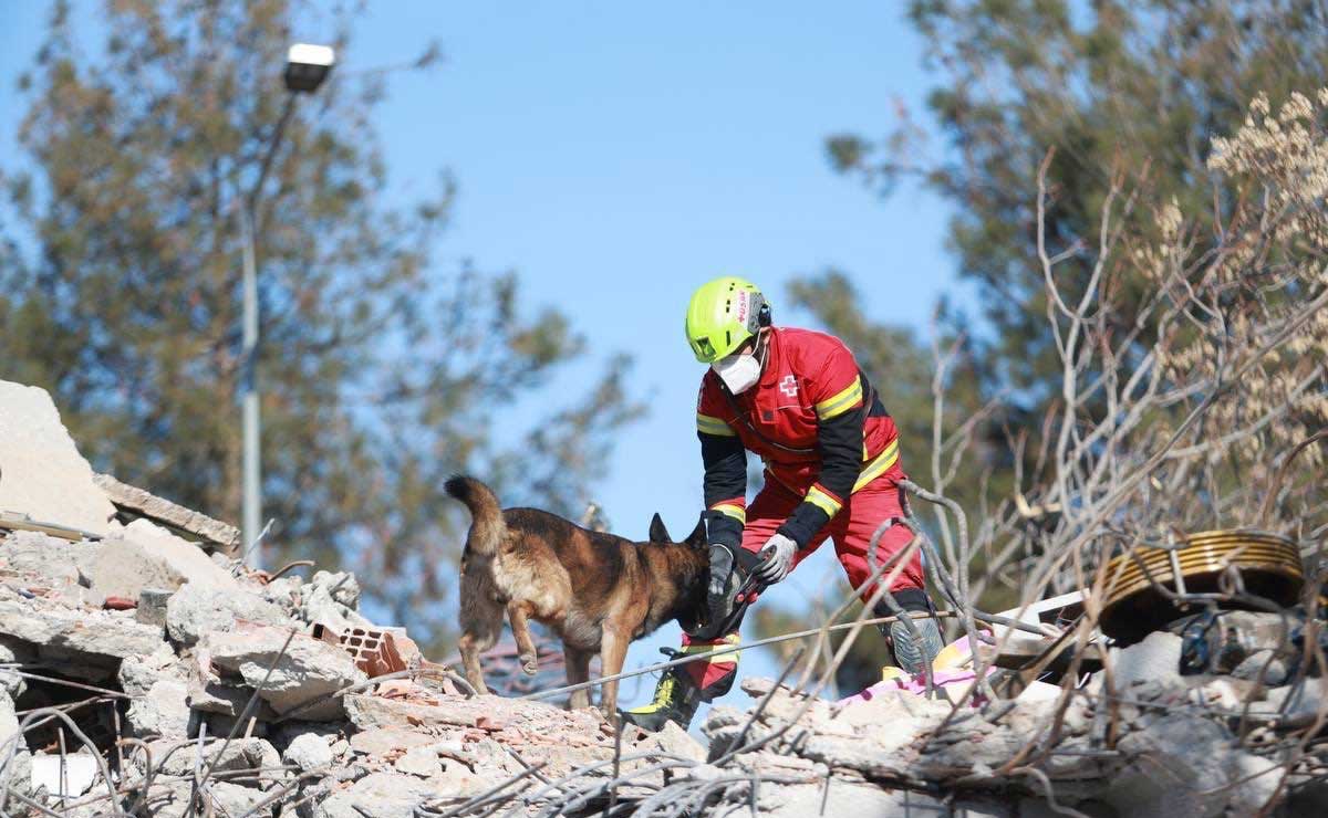 Comparten la primera imagen de Daniel y Rex iniciando labores de rescate en Turquía
