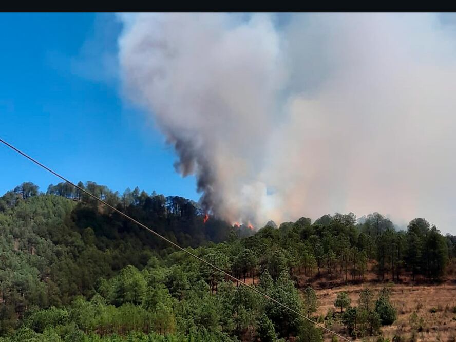 Foto: Protección Civil del estado de Puebla