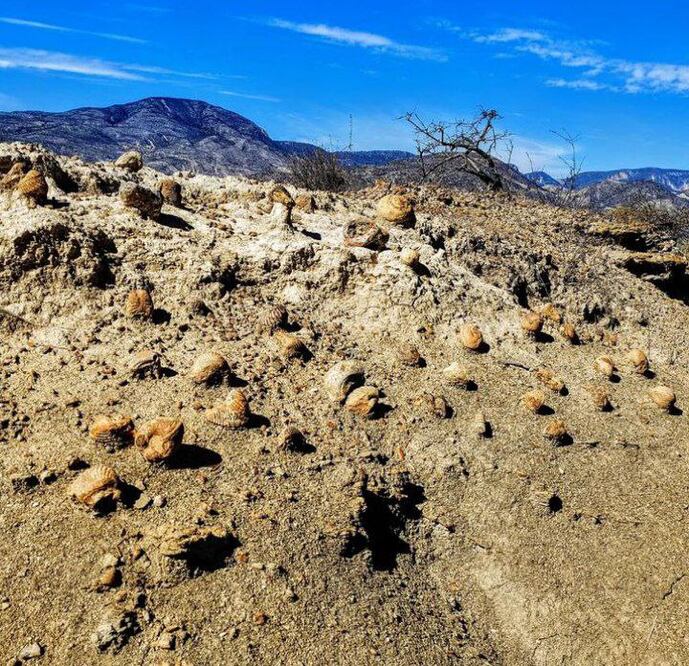 En este sitio de Puebla hay fósiles marinos | Instagram mushu 7120