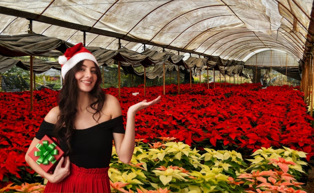 En este Pueblo Mágico puedes aprovechar las promociones para esta Navidad I Foto: EsImagen/Freepik