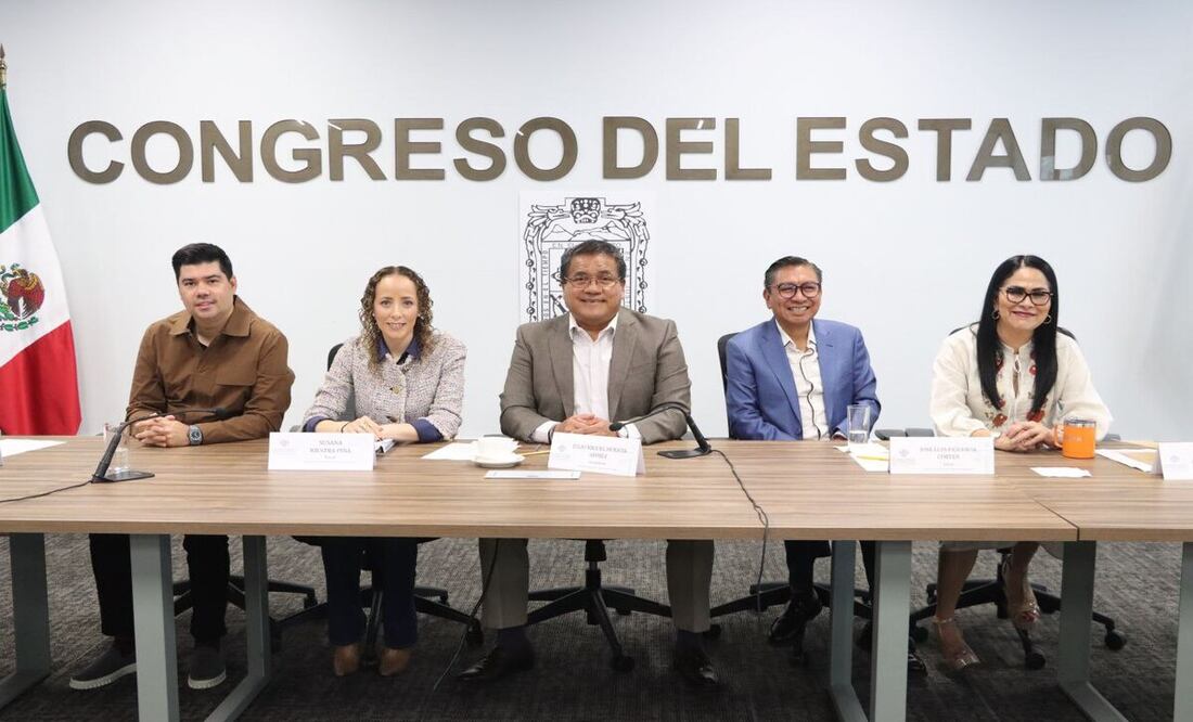 El proyecto de dictamen fue formulado a partir de la propuesta legislativa de la diputada, Leonela Jazmín Martínez Ayala | Foto: Congreso del Estado