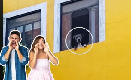 El perrito más chismoso de Puebla se hace viral en TikTok