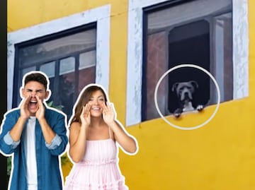 El perrito más chismoso de Puebla se hace viral en TikTok