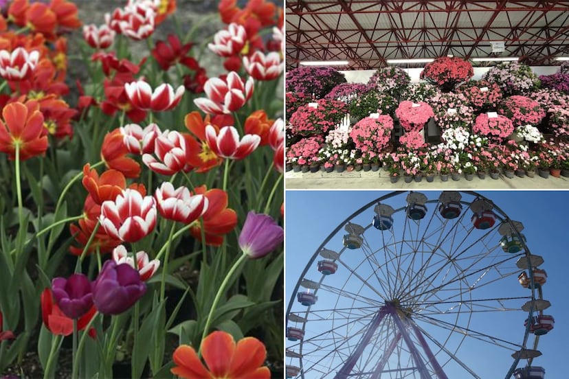 Feria de las Flores en este Pueblo Mágico de Puebla poco conocido