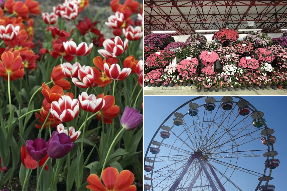 La Feria de las Flores se realizará en un bello Pueblo Mágico | Foto: Google Maps / Gobierno de Puebla