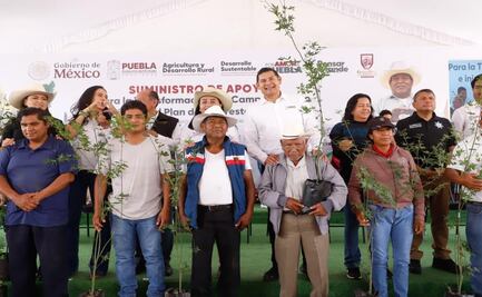 En microrregión de Cuapiaxtla inicia plan de reforestación 2025