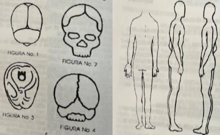 Las dos autopsias de Debanhi Escobar