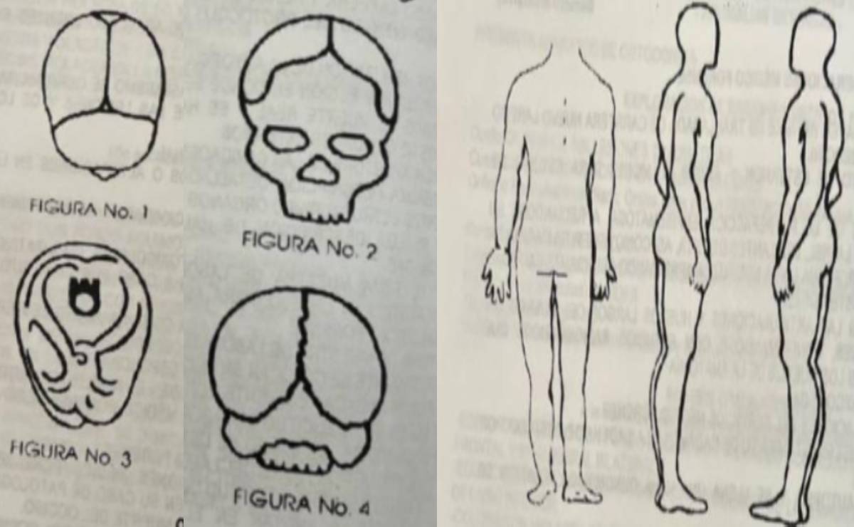 Las dos autopsias de Debanhi Escobar