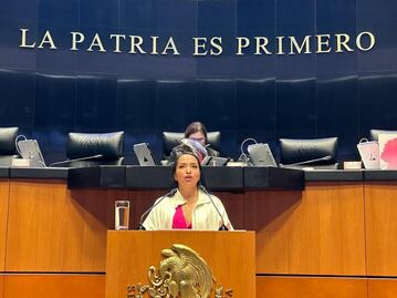 Liz Sánchez votó a favor de la recuperación y desarrollo de los trenes de México