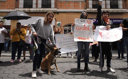 Manifestación en Puebla contra maltrato animal; exigen justicia por perritos atropellados