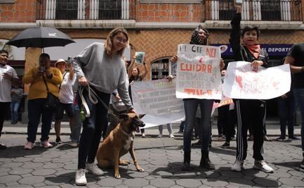 Manifestación en Puebla contra maltrato animal; exigen justicia por perritos atropellados
