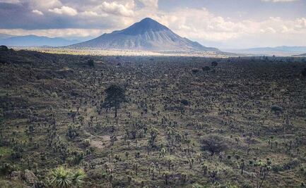 Esta es la zona arqueológica más grande de Puebla