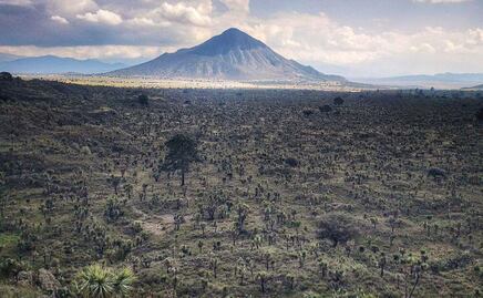Esta es la zona arqueológica más grande de Puebla
