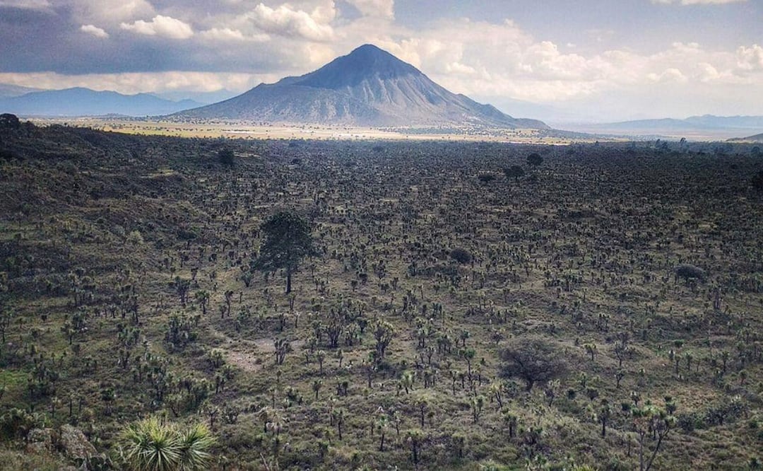 Cantona se encuentra entre Tepeyahualco y Coyoaco | Foto Facebook Héctor H. Estrada