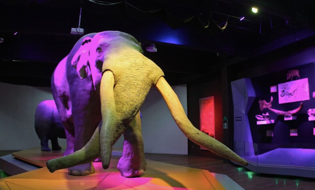 Foto: Museo de la Evolución Puebla