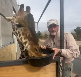 ¡Adiós Chihuahua, hola Puebla! Por fin inicia viaje de Benito rumbo a Africam Safari