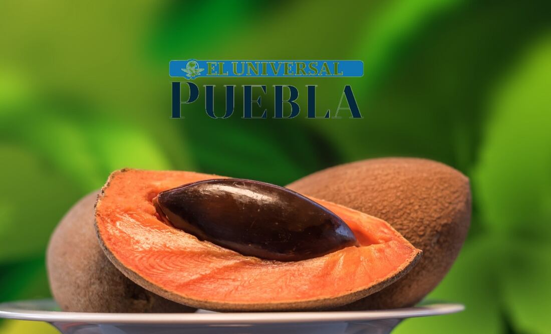 El mamey es una de las frutas con más textura y color que tenemos en nuestro país, tan rica y nutritiva que permite al mexicano probarla en diferentes formas.
Foto: Producción El Universal Puebla