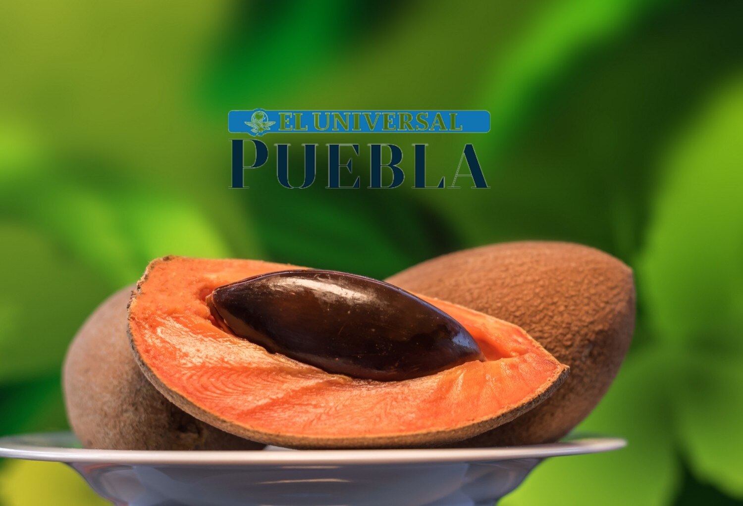 Esta es la fruta del sur de México que ayuda a prevenir el envejecimiento prematuro