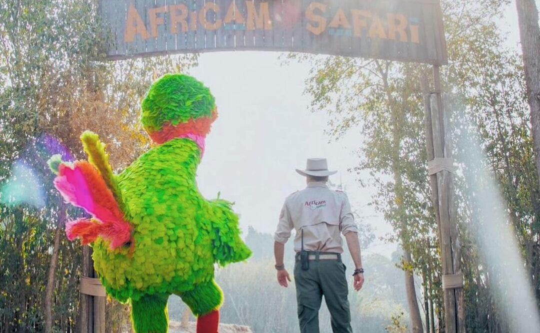 Abelardo y Benito ya se conocieron en Africam Safari | Foto: Facebook Frank Carlos Camacho