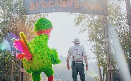 Abelardo de Plaza Sésamo visita a Benito en Africam Safari