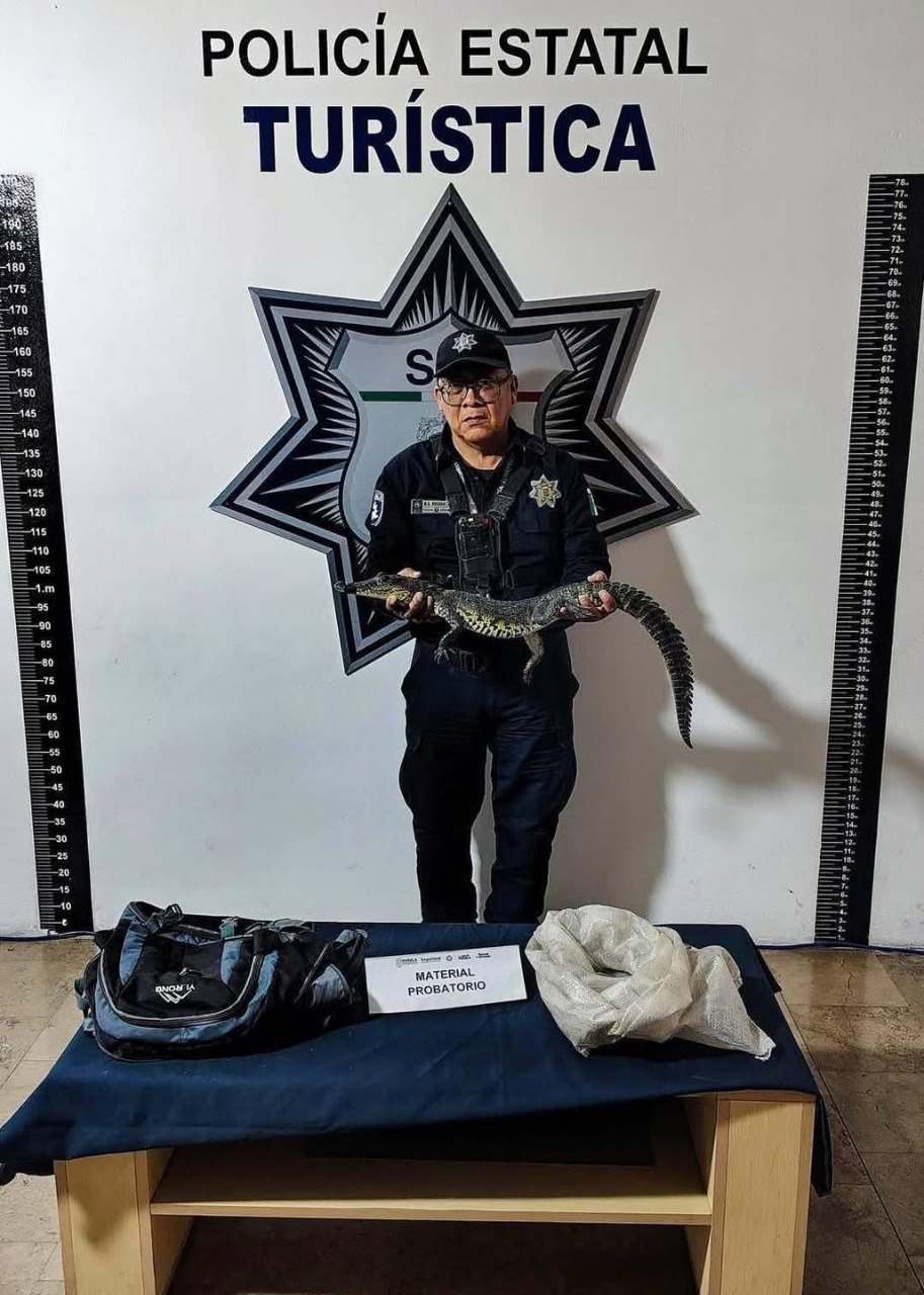 Foto: EsImagen