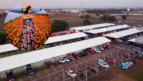 Cómo llegar al Mercado de Flores para comprar flor de cempasúchil en Puebla