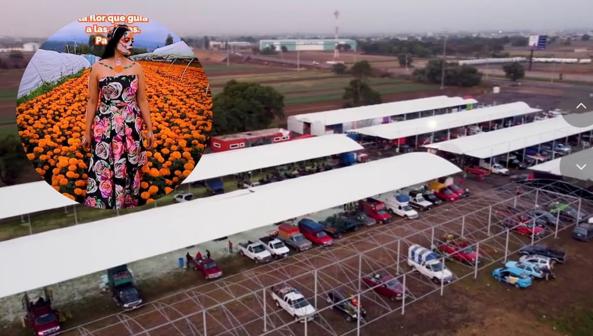 Productores de Huejotzingo alista venta de flor de cempasúchil en el mercado Flores del Iztaccíhuatl I Foto: Especial