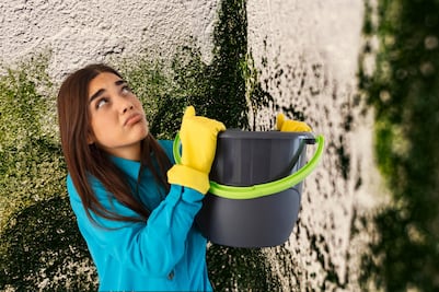 Cómo eliminar la humedad de la casa: soluciones efectivas y fáciles