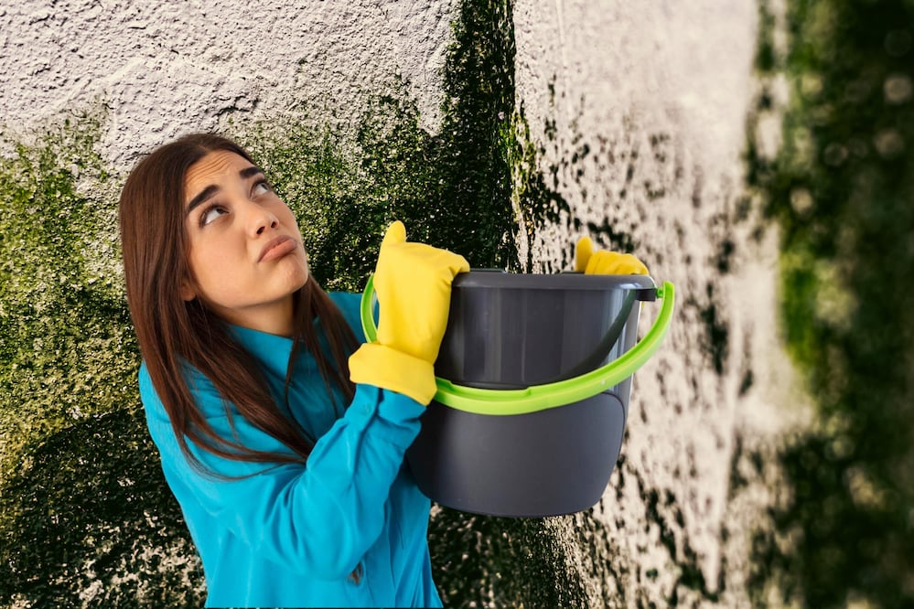 La humedad se puede limpiar con remedios infalibles | Foto: Freepik