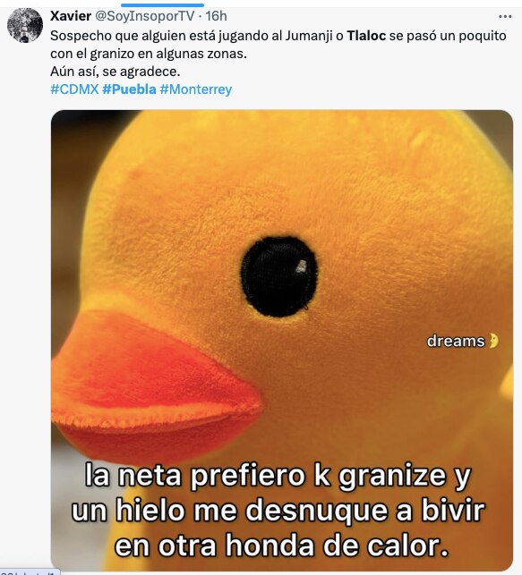 Foto: Redes Sociales